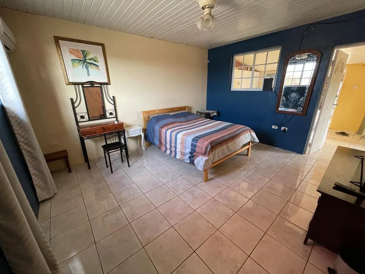 Paradise Apartment Palm Beach 0*,  Aruba